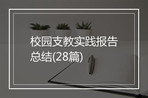 校园支教实践报告总结(28篇)