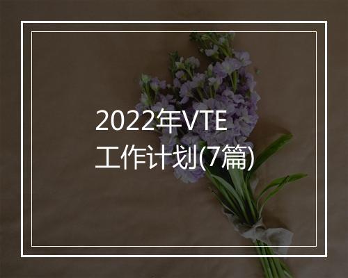 2022年VTE工作计划(7篇)
