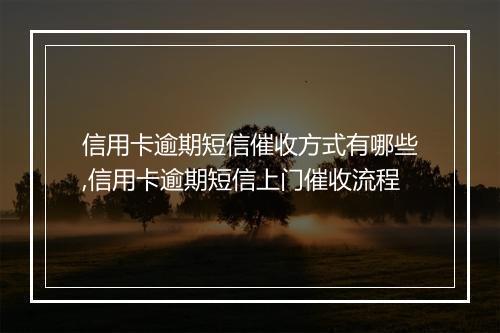 信用卡逾期短信催收方式有哪些,信用卡逾期短信上门催收流程