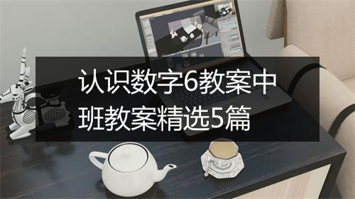 认识数字6教案中班教案精选5篇