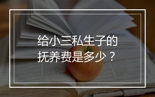 给小三私生子的抚养费是多少？