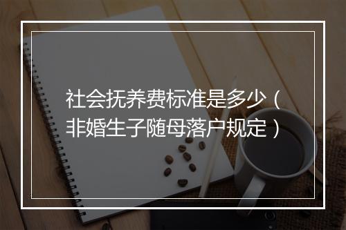 社会抚养费标准是多少（非婚生子随母落户规定）