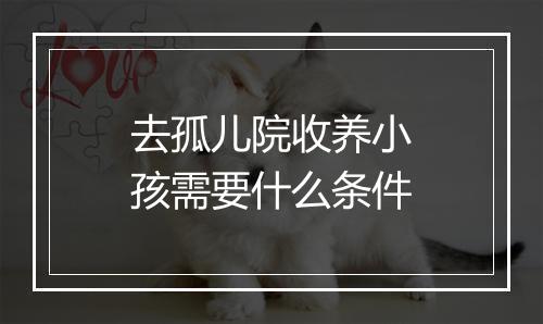 去孤儿院收养小孩需要什么条件