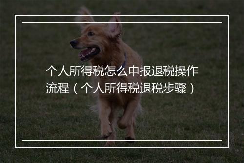 个人所得税怎么申报退税操作流程（个人所得税退税步骤）