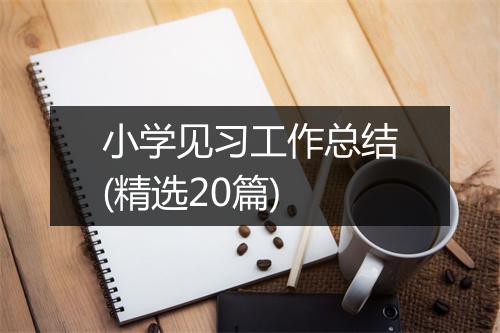 小学见习工作总结(精选20篇)