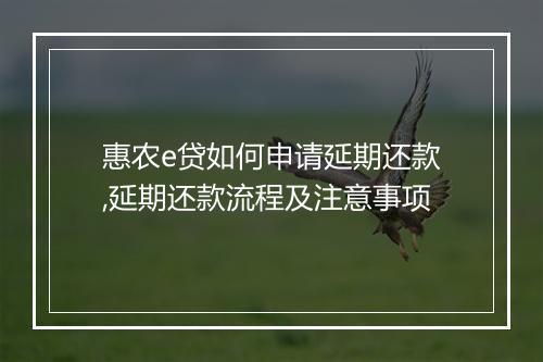 惠农e贷如何申请延期还款,延期还款流程及注意事项
