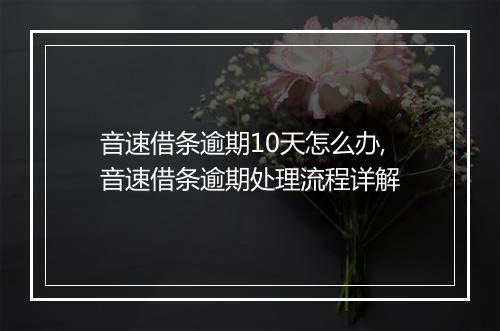 音速借条逾期10天怎么办,音速借条逾期处理流程详解