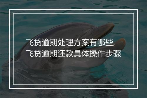 飞贷逾期处理方案有哪些,飞贷逾期还款具体操作步骤