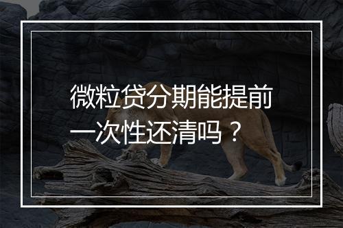 微粒贷分期能提前一次性还清吗？