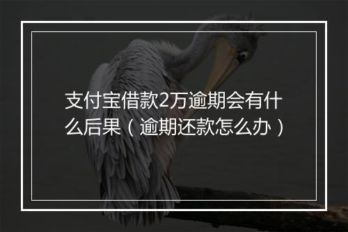 支付宝借款2万逾期会有什么后果（逾期还款怎么办）