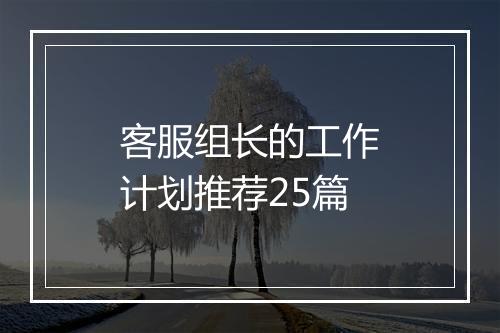 客服组长的工作计划推荐25篇