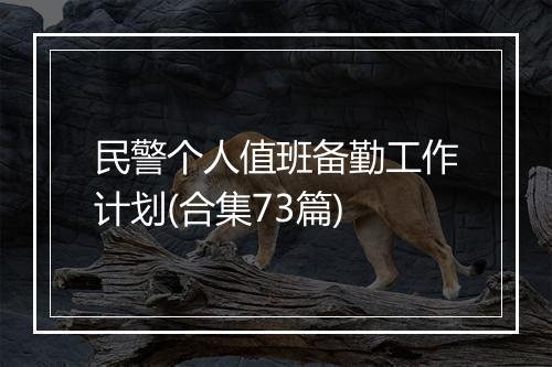 民警个人值班备勤工作计划(合集73篇)