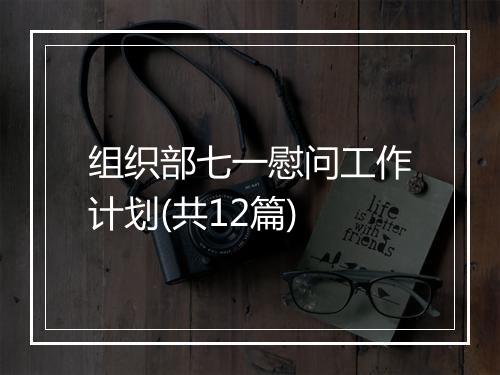 组织部七一慰问工作计划(共12篇)
