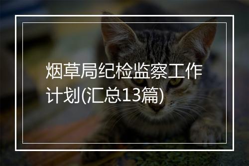 烟草局纪检监察工作计划(汇总13篇)