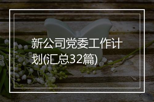 新公司党委工作计划(汇总32篇)