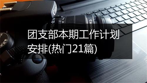 团支部本期工作计划安排(热门21篇)