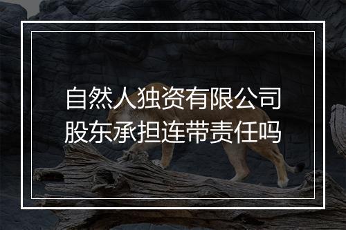 自然人独资有限公司股东承担连带责任吗