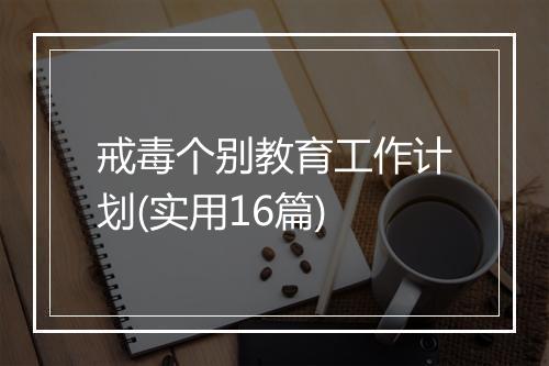 戒毒个别教育工作计划(实用16篇)