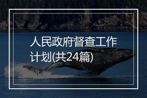 人民政府督查工作计划(共24篇)