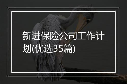 新进保险公司工作计划(优选35篇)