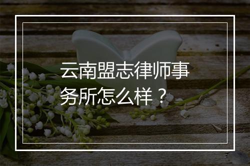 云南盟志律师事务所怎么样？