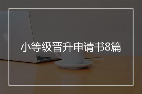 小等级晋升申请书8篇