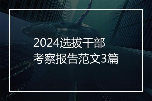 2024选拔干部考察报告范文3篇