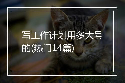 写工作计划用多大号的(热门14篇)