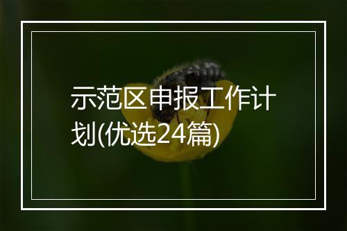 示范区申报工作计划(优选24篇)