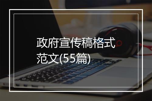政府宣传稿格式范文(55篇)