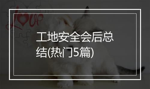 工地安全会后总结(热门5篇)