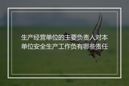 生产经营单位的主要负责人对本单位安全生产工作负有哪些责任