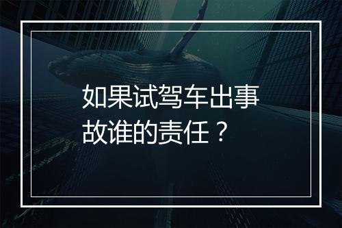 如果试驾车出事故谁的责任？