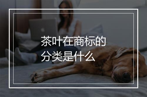 茶叶在商标的分类是什么