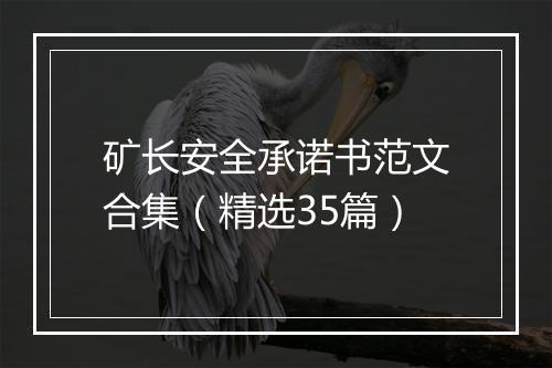矿长安全承诺书范文合集（精选35篇）