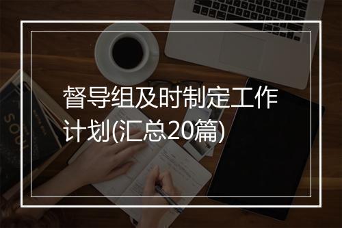 督导组及时制定工作计划(汇总20篇)