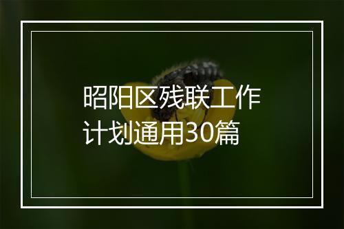昭阳区残联工作计划通用30篇