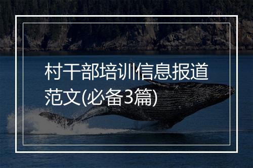村干部培训信息报道范文(必备3篇)