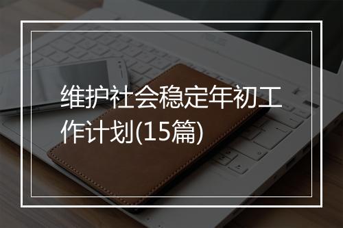 维护社会稳定年初工作计划(15篇)