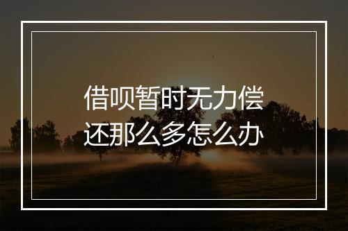 借呗暂时无力偿还那么多怎么办