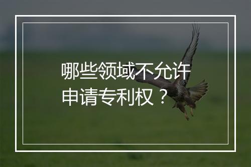 哪些领域不允许申请专利权？