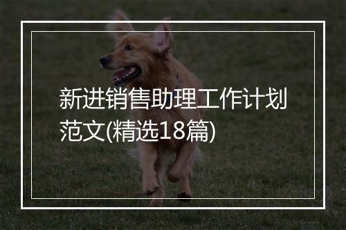 新进销售助理工作计划范文(精选18篇)