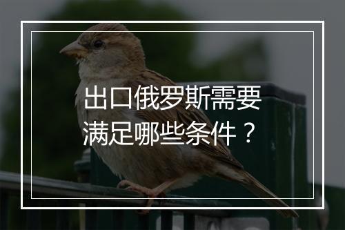 出口俄罗斯需要满足哪些条件？