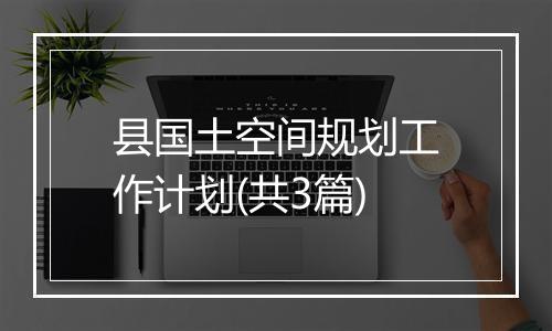 县国土空间规划工作计划(共3篇)