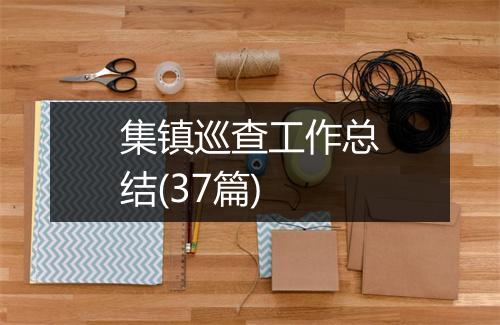 集镇巡查工作总结(37篇)