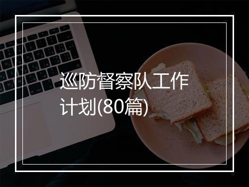 巡防督察队工作计划(80篇)