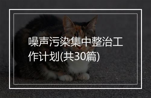 噪声污染集中整治工作计划(共30篇)