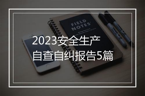 2023安全生产自查自纠报告5篇