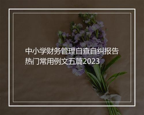中小学财务管理自查自纠报告热门常用例文五篇2023