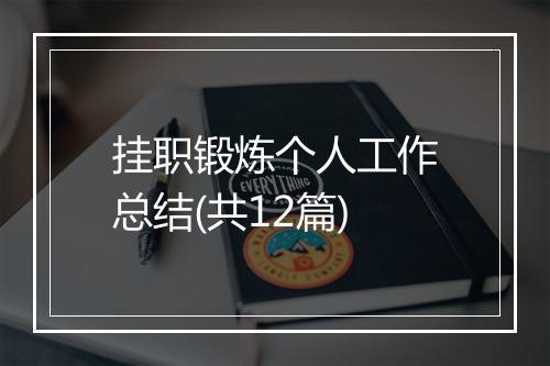 挂职锻炼个人工作总结(共12篇)